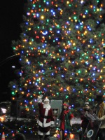 Christmas Tree lit. Photo by Luke Otterstad