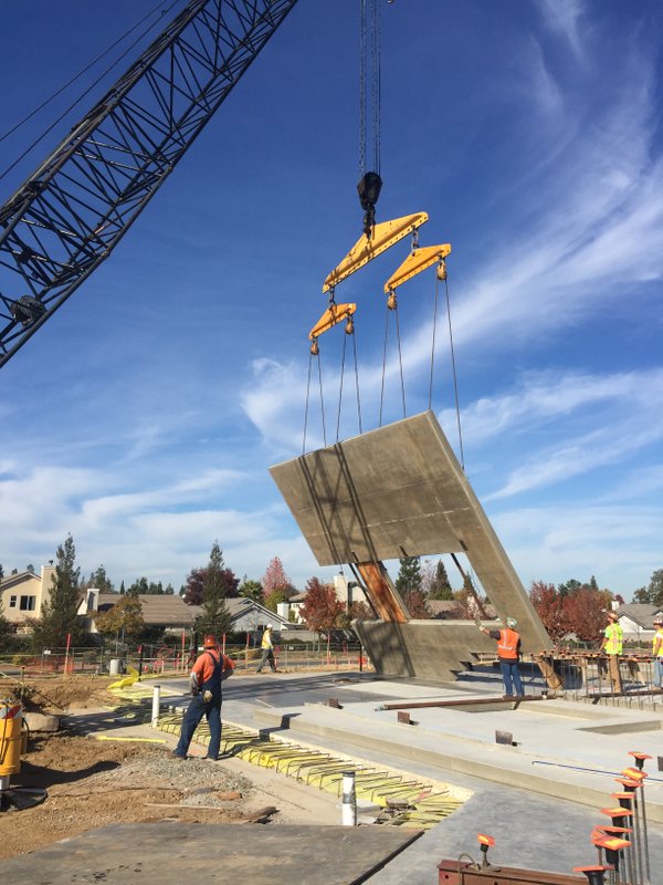 Citrus Heights News Briefs: tree lit, city hall update, water use