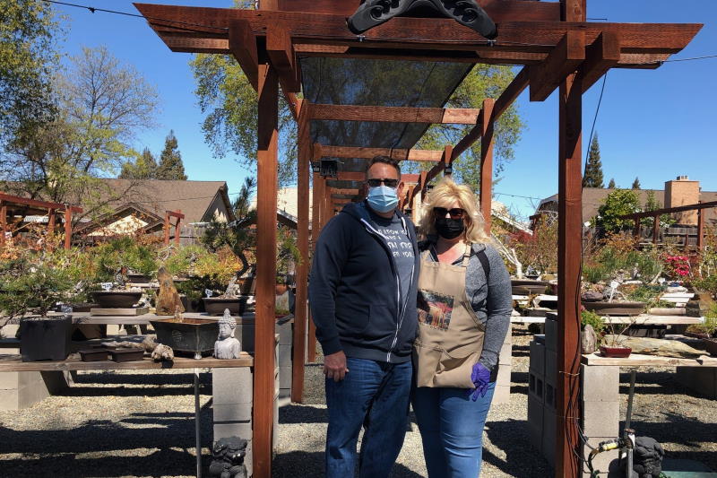 Check out this couple’s backyard bonsai nursery in Citrus Heights