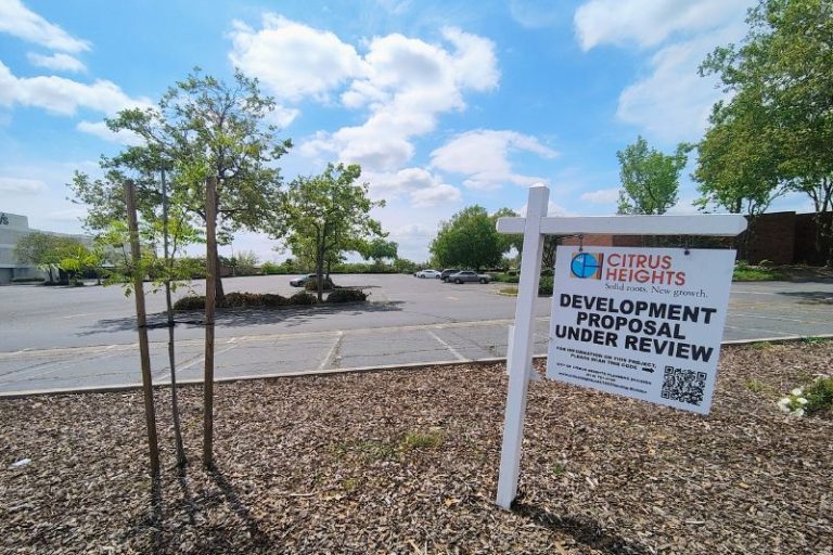 Corner of the Sunrise Mall parking lot