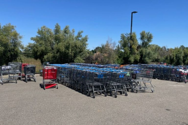 Shopping carts in the Citrus Heights Utility Yard