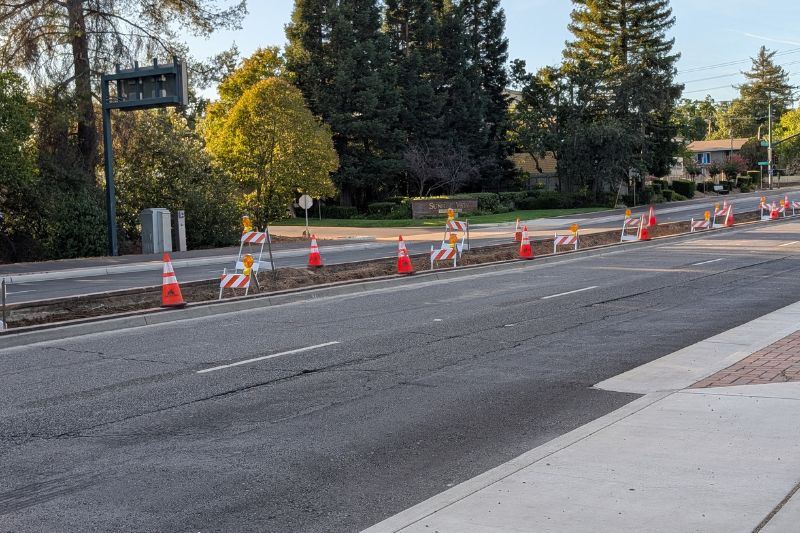 Several palm trees have been removed from the median on Sunrise Boulevard. // SB Williams