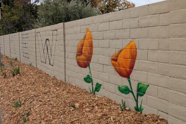 Artwork graces a long wall on Auburn Blvd.