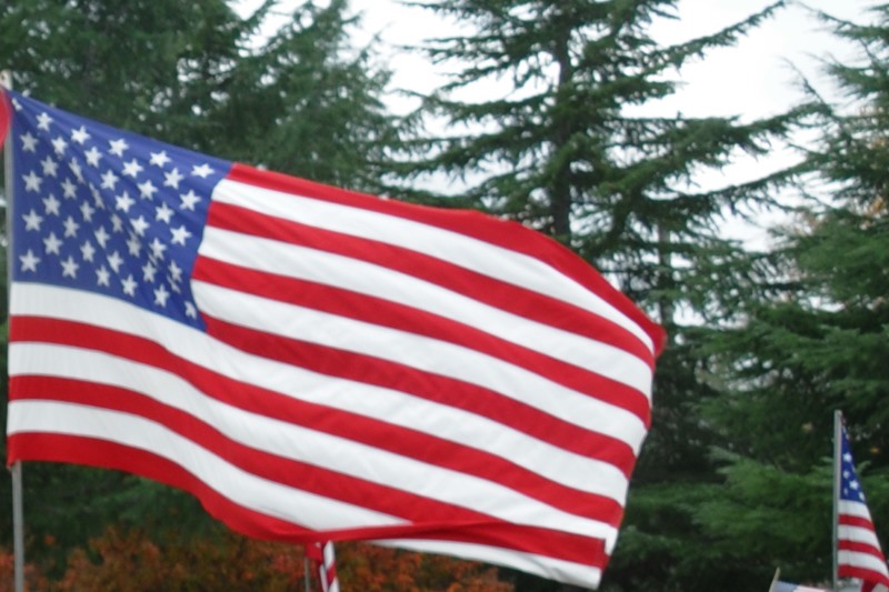 Waving United States flag with red and white stripes and blue field of stars against a backdrop of trees.